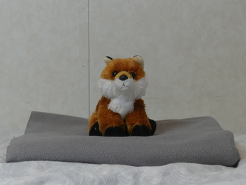 Unnamed 28 (Red Fox, Aurora)